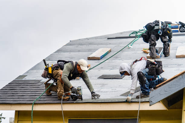 Professional Roofing technician working in Morgan, PA